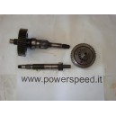 Aprilia Scarabeo 250 2005 - Ingranaggi trasmissione