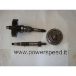 Aprilia Scarabeo 250 2005 - Ingranaggi trasmissione